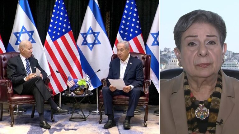 Palestinian Diplomat Hanan Ashrawi: The U.S. Is Israel’s “Partner in Crime” in Deadly Assault on Gaza