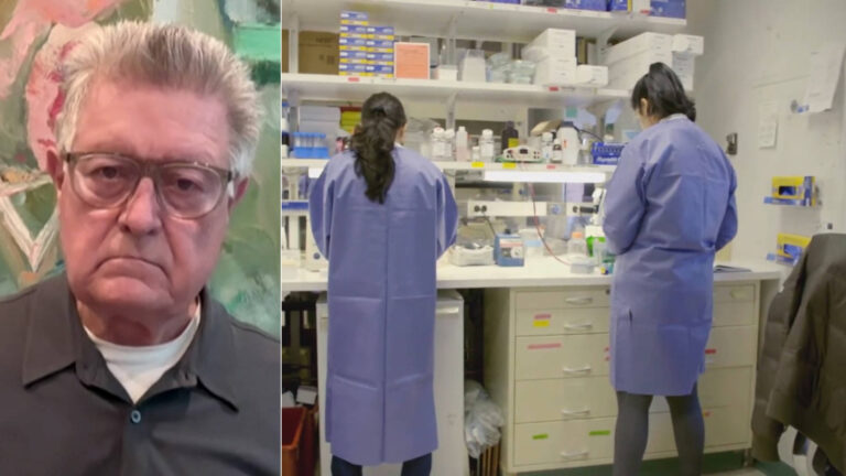Trump's Brain Drain: Scientists Look to Move Abroad as DOGE Slashes Research Funding in U.S.