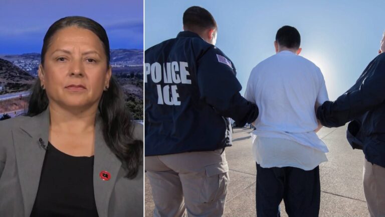 ICE Raids on Restaurants, Farmworkers, Students Spark Community Resistance Across Country