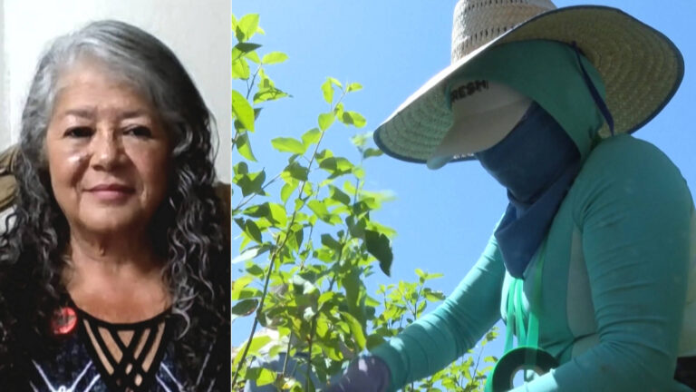 “Farmworkers’ Voices Are Not Being Heard”: UFW President Teresa Romero on ICE Raids & Workers’ Lives