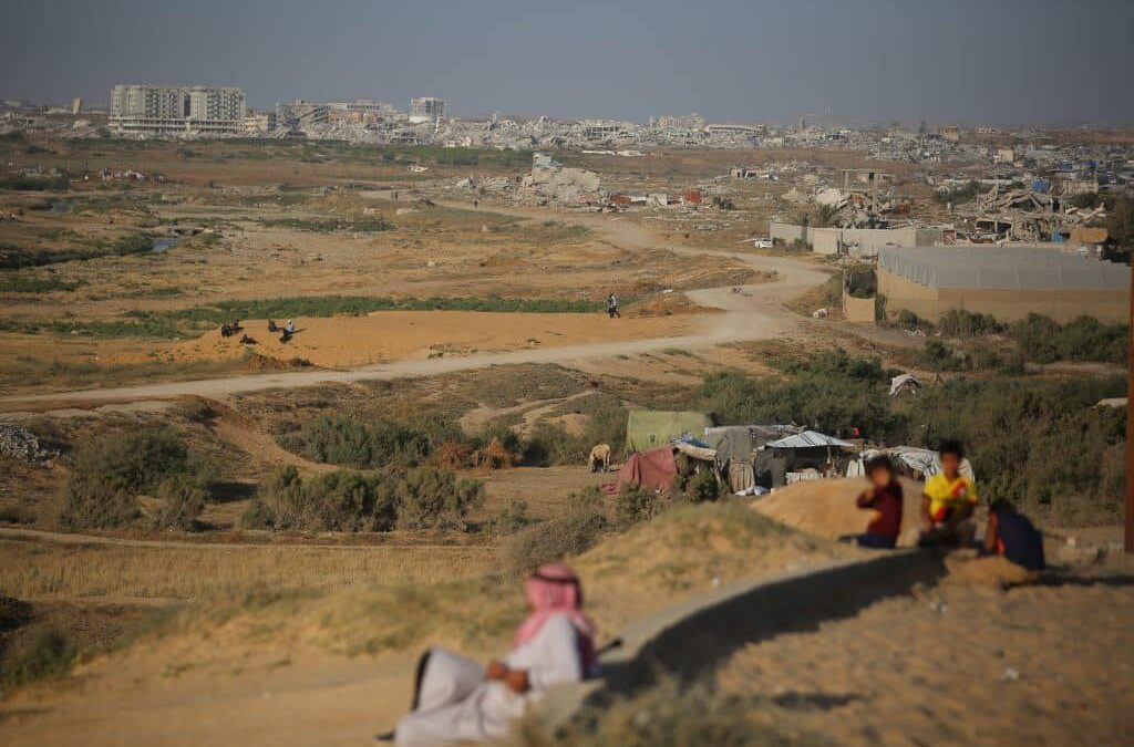 Gaza farmers begin the hard work of rebuilding an agricultural sector decimated by Israel’s genocide
