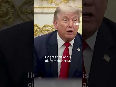 Trump claims he kept Erdogan, Xi and Putin out of Iran war