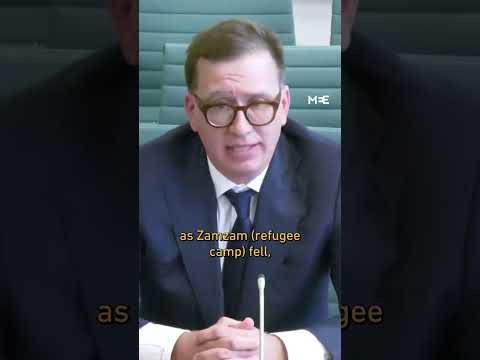 UK failed to stop el-Fasher massacre because it feared the UAE, MPs told