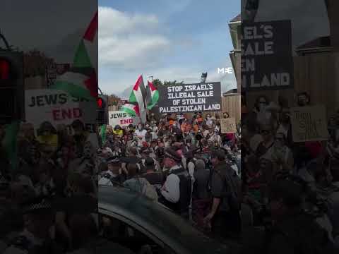 Pro-Palestinian protesters rally outside London hotel hosting illegal settlement land sale event