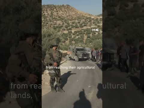 Israeli forces target journalists in occupied West Bank