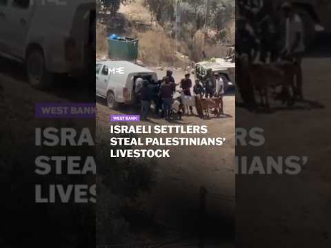 Settlers protected by Israeli forces steal sheep from Palestinians in occupied West Bank