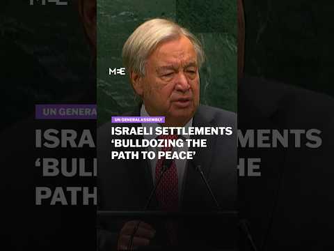 Israeli settlements in West Bank ‘raise spectre of ethnic cleansing’, says UN chief