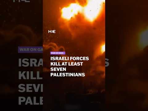 Israeli forces kill at least seven Palestinians in separate attacks across Gaza