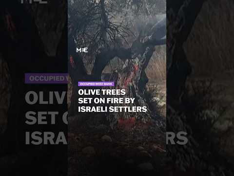 Palestinians contain fires set by Israeli settlers in the occupied West Bank